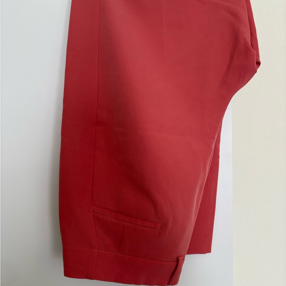 Dress Pants from Express